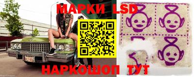 mdpv Камышлов