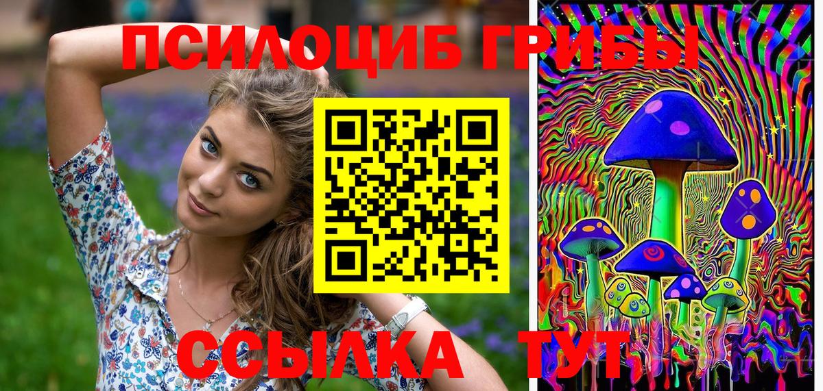 Кореновск  Галлюциногенные грибы Psilocybine cubensis  Вход с VPN  Псилоцибиновые грибы Magic Shrooms 