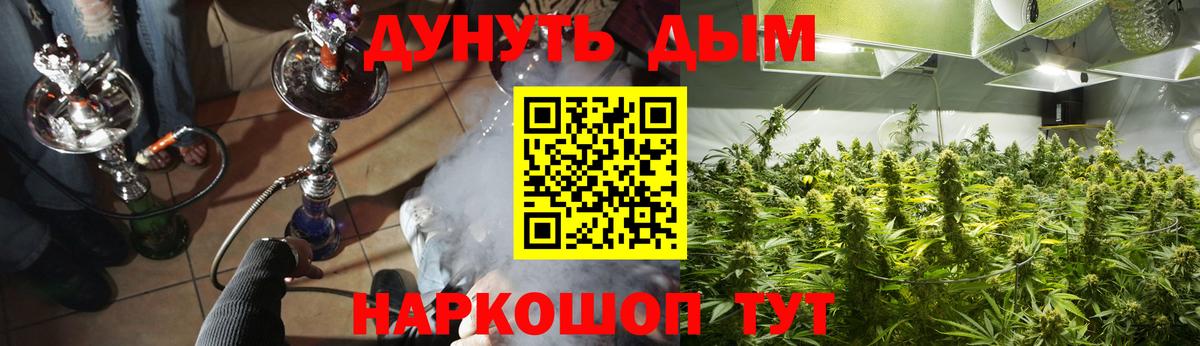 Каннабис Bruce Banner  Марихуана Amnesia  Вход с VPN  Кореновск 